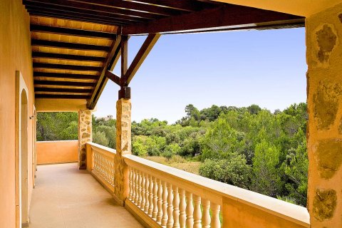 Finca for sale Santa Maria Del Cami, Mallorca, Spain 5 bedrooms, 423 sq.m. No. 112045 - photo 9