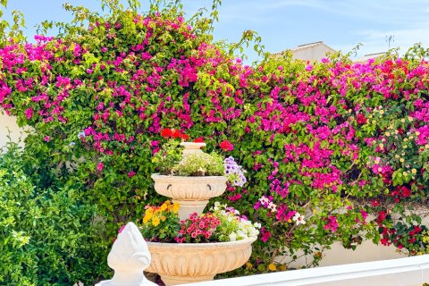 Villa for sale Punta Prima, Alicante, Spain 4 bedrooms, 193 sq.m. No. 114371 - photo 7