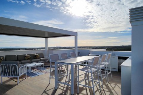 Wohnung zum Verkauf Pinar De Campoverde, Alicante, Spanien 3 Schlafzimmer, 116 m2 Nr. 114384 - Foto 14
