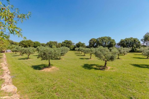 House zum Verkauf Palafrugell, Girona, Spanien 5 Schlafzimmer, 375 m2 Nr. 22859 - Foto 20