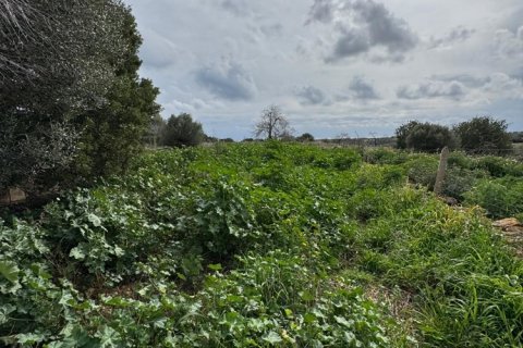 House for sale Algaida, Mallorca, Spain No. 109860 - photo 6