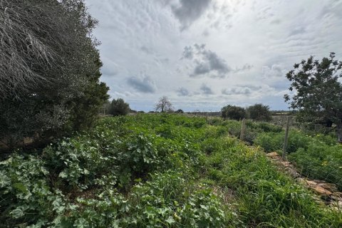 House for sale Algaida, Mallorca, Spain No. 109860 - photo 5