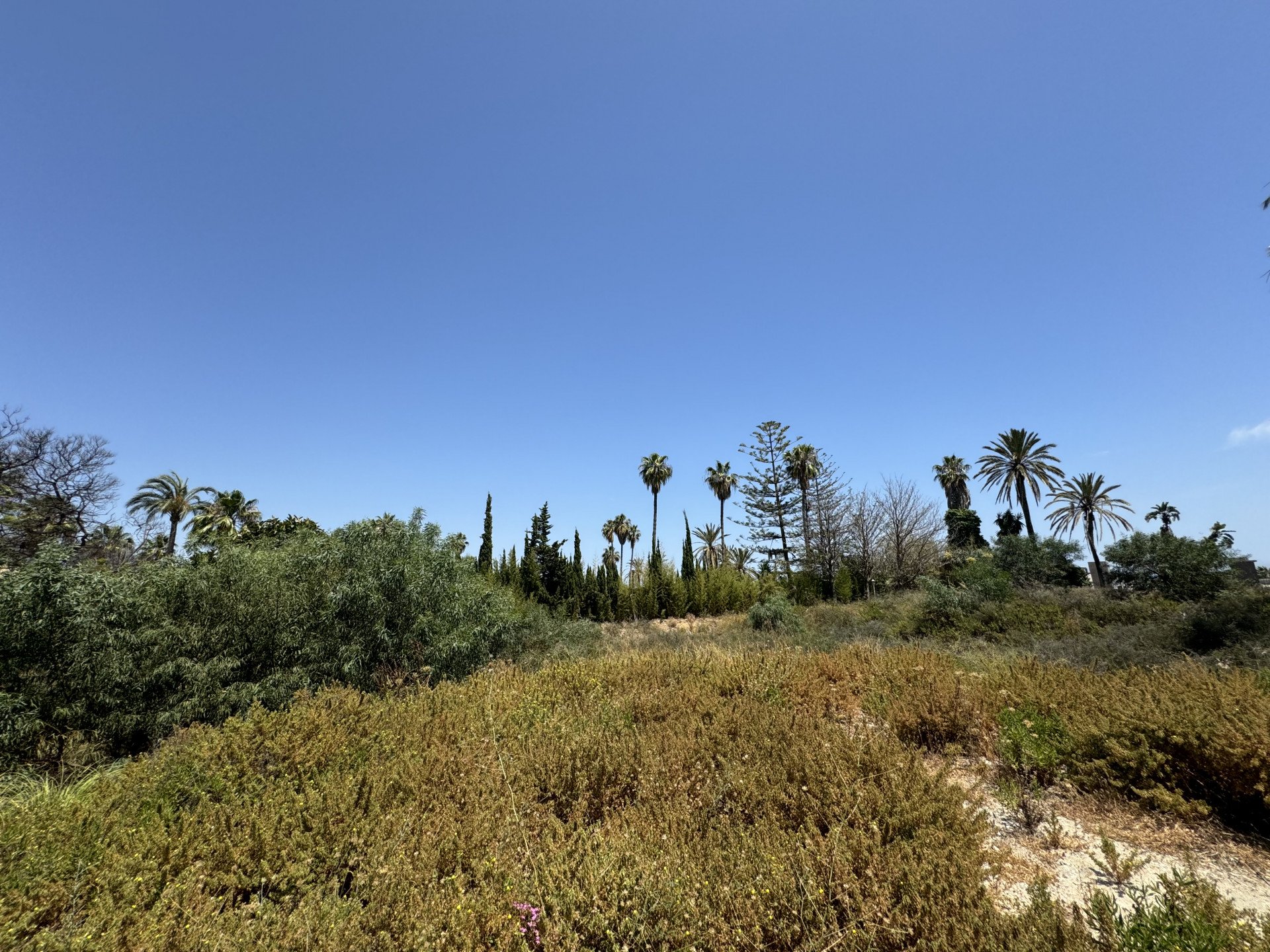 Land in Marbella, Malaga, Spanien Nr. 100901