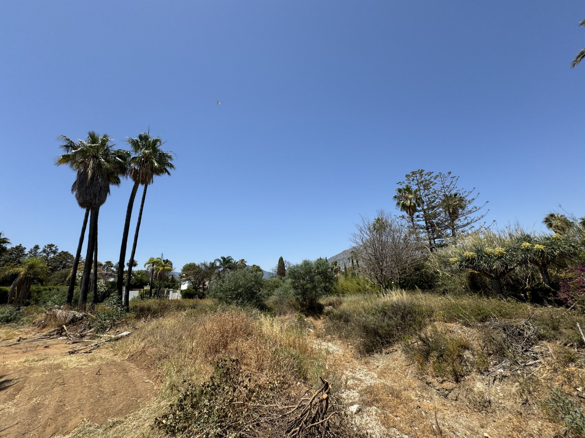 Land in Marbella, Malaga, Spanien Nr. 100901