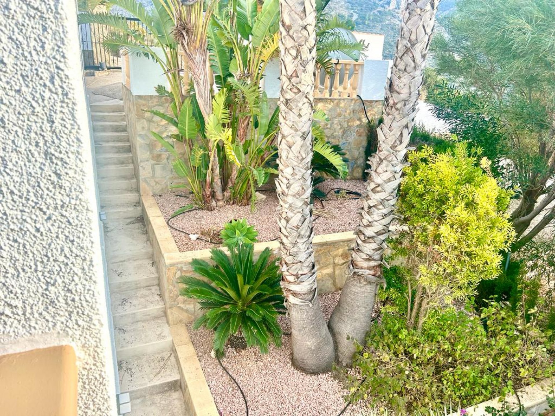 Huvila Pedreguer, Alicante, Espanja 3 makuuhuonetta, 207 m2 No. 90716