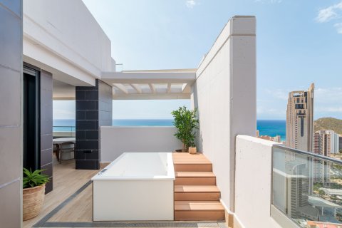 Apartment for sale Benidorm, Alicante, Spain 3 bedrooms, 160 sq.m. No. 113559 - photo 9