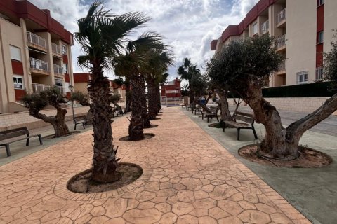 Apartament Alicante, Hiszpania 2 sypialnie, 69 mkw. nr 113584 – zdjęcie 9