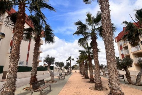 Apartament Alicante, Hiszpania 2 sypialnie, 69 mkw. nr 113584 – zdjęcie 6
