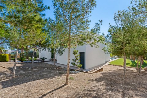 Villa zum Verkauf Pinar De Campoverde, Alicante, Spanien 4 Schlafzimmer, 193 m2 Nr. 115686 - Foto 8