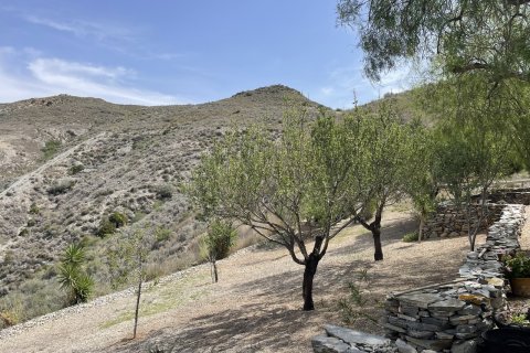 Finca for sale Cartagena, Murcia, Spain 4 bedrooms, 213 sq.m. No. 115317 - photo 15