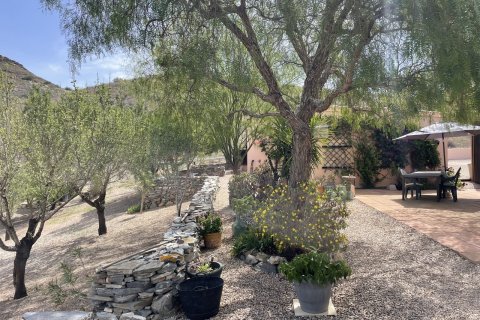 Finca for sale Cartagena, Murcia, Spain 4 bedrooms, 213 sq.m. No. 115317 - photo 14