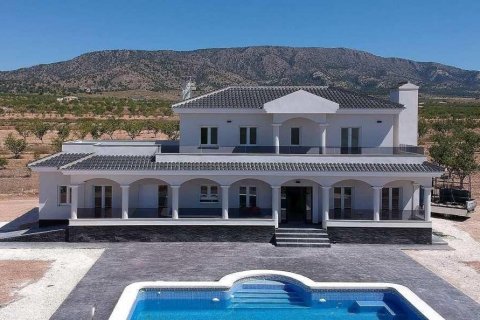 Villa pārdošanā Pinoso, Alicante, Spānijā 4 istabas, 245 m2 Nr. 114022 - attēls 12