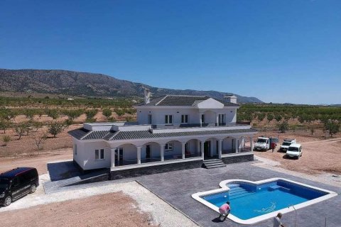 Villa pārdošanā Pinoso, Alicante, Spānijā 4 istabas, 245 m2 Nr. 114022 - attēls 14