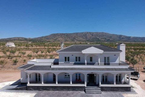 Villa pārdošanā Pinoso, Alicante, Spānijā 4 istabas, 245 m2 Nr. 114022 - attēls 1