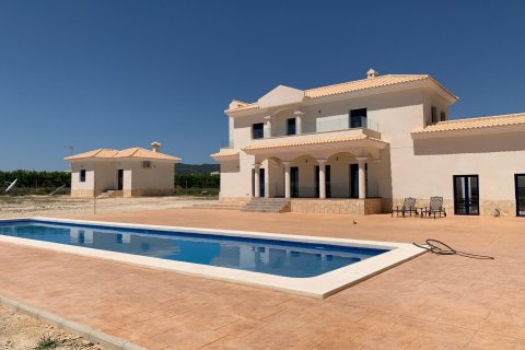 Villa pārdošanā Pinoso, Alicante, Spānijā 4 istabas, 245 m2 Nr. 114022 - attēls 17