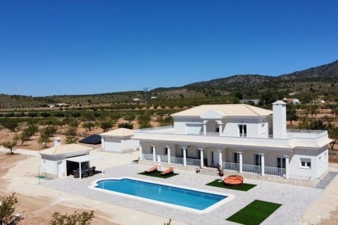 Villa en venta Pinoso, Alicante, España 6 dormitorios, 270 m2 No. 114021 - foto 1