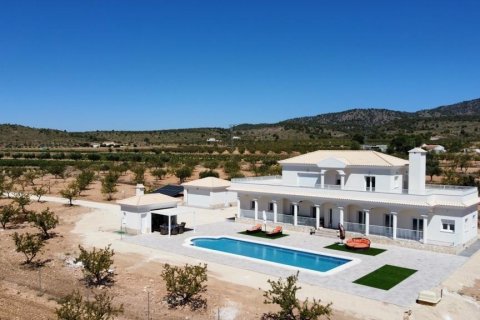 Villa en venta Pinoso, Alicante, España 6 dormitorios, 270 m2 No. 114021 - foto 21