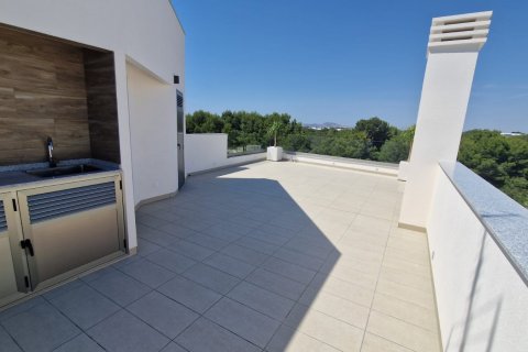 Villa in vendita Pilar de la Horadada, Alicante, Spagna 3 camere da letto, 127 mq. N° 102113 - foto 23