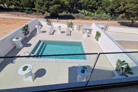 Villa in vendita Pilar de la Horadada, Alicante, Spagna 3 camere da letto, 127 mq. N° 102113 - foto 16
