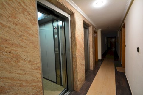 Wohnung zum Verkauf Guardamar del Segura, Alicante, Spanien 2 Schlafzimmer, 53 m2 Nr. 115866 - Foto 28