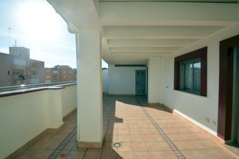 Wohnung zum Verkauf Guardamar del Segura, Alicante, Spanien 2 Schlafzimmer, 53 m2 Nr. 115866 - Foto 4