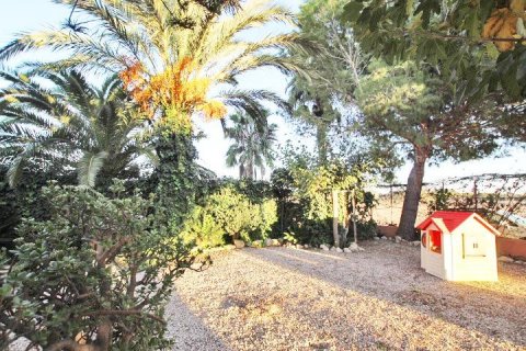 Finca en venta Almoradí, Alicante, España 5 dormitorios, 510 m2 No. 115869 - foto 3