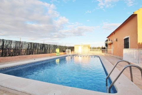 Finca en venta Almoradí, Alicante, España 5 dormitorios, 510 m2 No. 115869 - foto 7