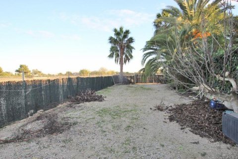 Finca en venta Almoradí, Alicante, España 5 dormitorios, 510 m2 No. 115869 - foto 11