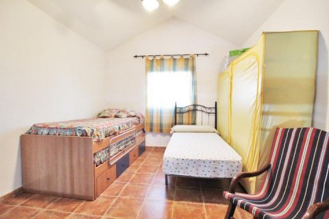 Finca en venta Almoradí, Alicante, España 5 dormitorios, 510 m2 No. 115869 - foto 24