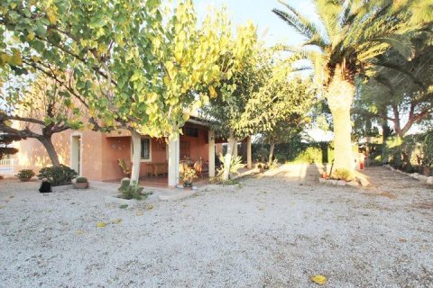 Finca en venta Almoradí, Alicante, España 5 dormitorios, 510 m2 No. 115869 - foto 1