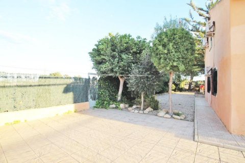 Finca en venta Almoradí, Alicante, España 5 dormitorios, 510 m2 No. 115869 - foto 8
