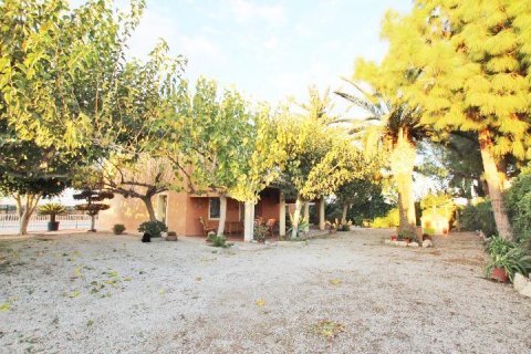 Finca en venta Almoradí, Alicante, España 5 dormitorios, 510 m2 No. 115869 - foto 30