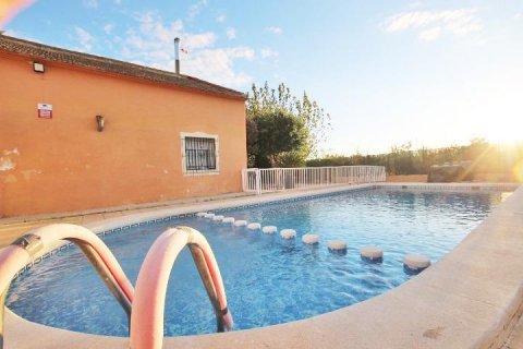 Finca en venta Almoradí, Alicante, España 5 dormitorios, 510 m2 No. 115869 - foto 6