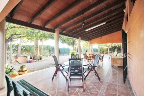 Finca en venta Almoradí, Alicante, España 5 dormitorios, 510 m2 No. 115869 - foto 4