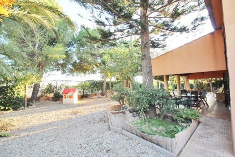 Finca en venta Almoradí, Alicante, España 5 dormitorios, 510 m2 No. 115869 - foto 12