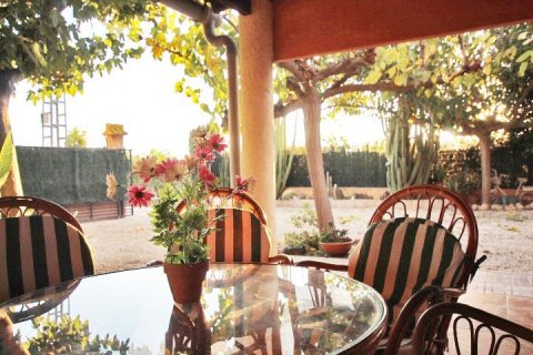 Finca en venta Almoradí, Alicante, España 5 dormitorios, 510 m2 No. 115869 - foto 2