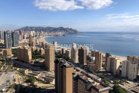 Apartment for sale Benidorm, Alicante, Spain 2 bedrooms, 69 sq.m. No. 48738 - photo 30
