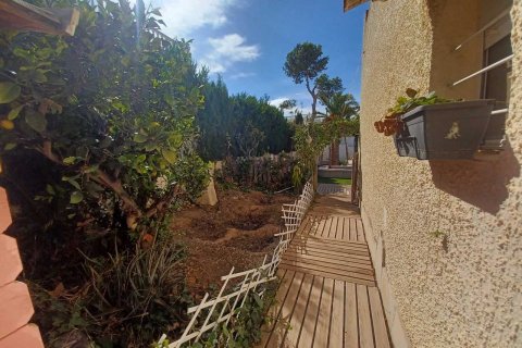 Rindu māja pārdošanā Torrevieja, Alicante, Spānijā 2 istabas,  Nr. 115968 - attēls 25