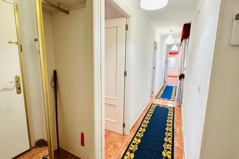 Продажа квартиры в Торревьеха, Аликанте, Испания 3 спальни, 78м2 №117794 - фото 28