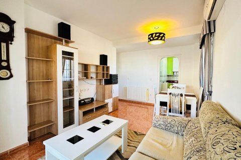 Продажа квартиры в Торревьеха, Аликанте, Испания 3 спальни, 78м2 №117794 - фото 16