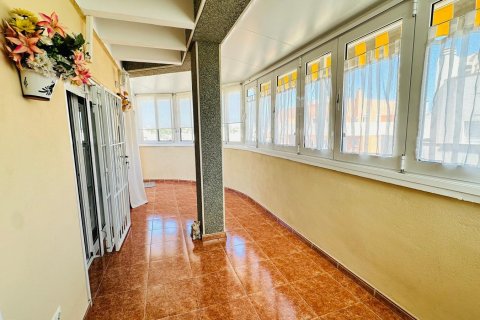 Продажа квартиры в Торревьеха, Аликанте, Испания 3 спальни, 78м2 №117794 - фото 4