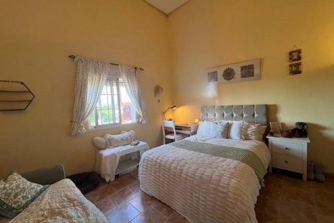Finca in vendita Dolores, Alicante, Spagna 3 camere da letto, 181 mq. N° 117795 - foto 12
