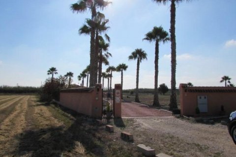 Finca in vendita Dolores, Alicante, Spagna 3 camere da letto, 181 mq. N° 117795 - foto 30