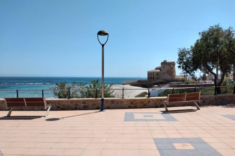 Villa zum Verkauf Pilar de la Horadada, Alicante, Spanien 3 Schlafzimmer, 211 m2 Nr. 113965 - Foto 22