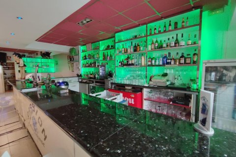 Commercial property for sale Villamartin, Alicante, Spain 170 sq.m. No. 109247 - photo 1
