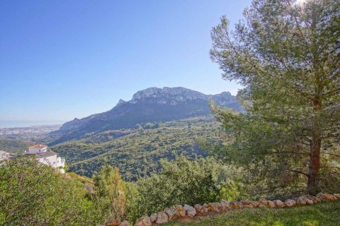 Villa à vendre Pego, Alicante, Espagne, 5 chambres, 256 m2 No. 100755 - photo 26