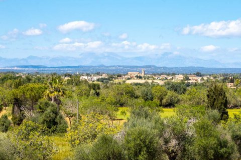 Finca for sale Cas Concos Des Cavaller, Mallorca, Spain 3 bedrooms, 529 sq.m. No. 117893 - photo 3
