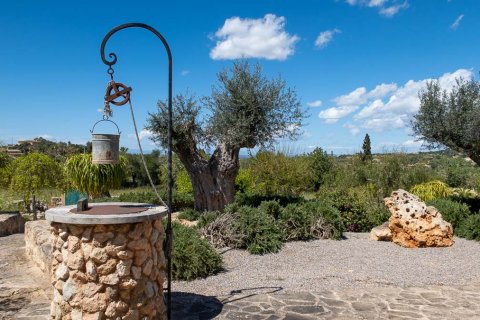 Finca for sale Cas Concos Des Cavaller, Mallorca, Spain 3 bedrooms, 529 sq.m. No. 117893 - photo 6