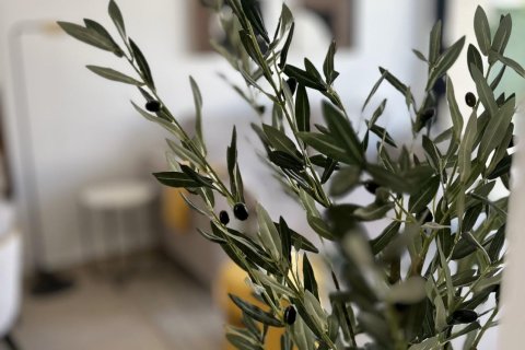 Продажа бунгало в Сан-Фульхенсио, Аликанте, Испания 2 спальни, 63м2 №117605 - фото 16