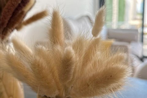 Продажа бунгало в Сан-Фульхенсио, Аликанте, Испания 2 спальни, 63м2 №117605 - фото 6